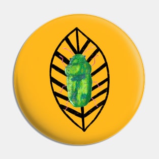 Shiny green fig beetle Pin