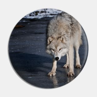 Arctic Wolf On Ice Pin