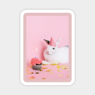 Birthday Rabbit Magnet