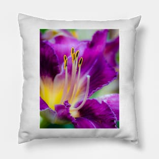 Daylilly Stamens 3 Pillow