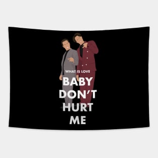 What is love, Baby Don't Hurt Me Tapestry