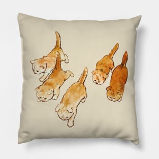 5 Orange Kittens Pillow