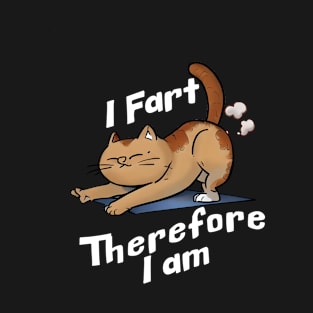 Funny Farting Cat on a Yoga Mat T-Shirt