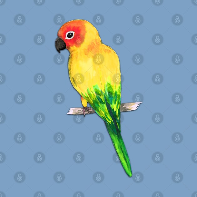 Sun conure by Bwiselizzy