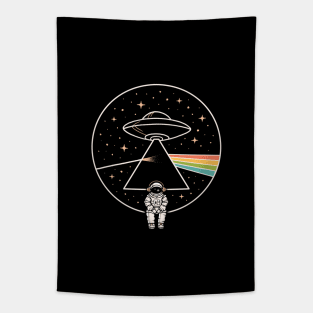 The dark side of the Universe Tapestry