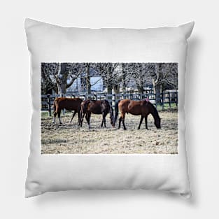 Grazing in the Sun Pillow