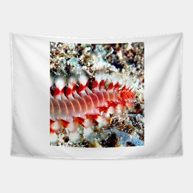 Bearded Fire Worm Tapestry by Scubagirlamy