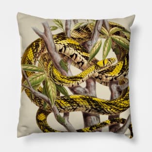 Vintage Snake ilustration Pillow