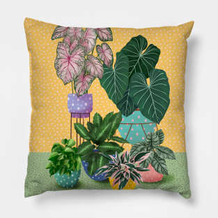 Colourful House Plants 4 Pillow