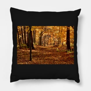 Autumn In Eden Pillow