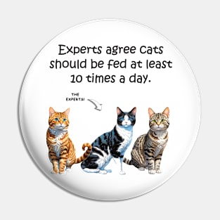 Experts agree cats should be fed at least 10 times a day - funny watercolour cat design Pin