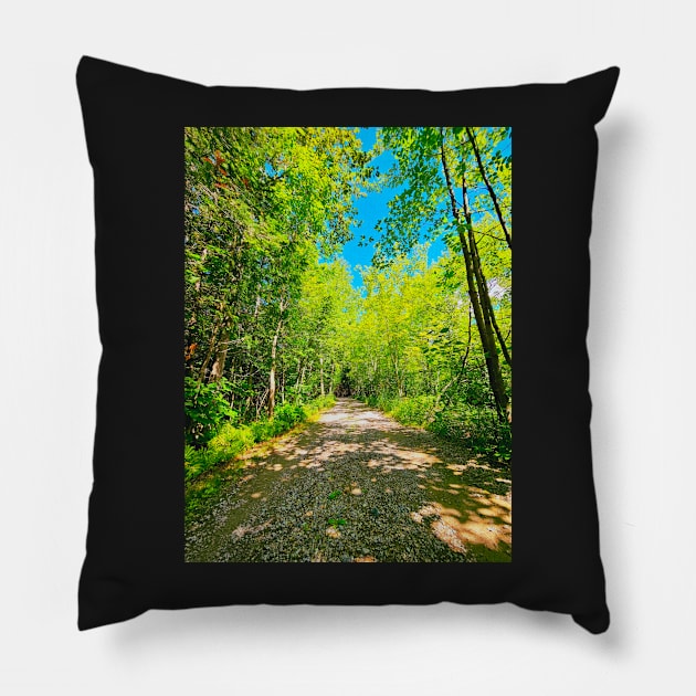 Road Through The Trees Pillow by MidnightRose77