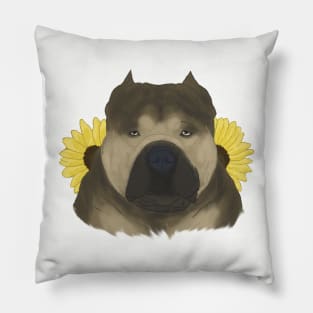 Sable American Bully with Sunflowers Pillow