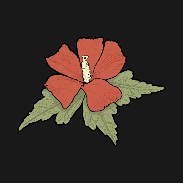 Red Hibiscus by sifis