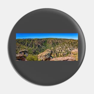 Chiricahua National Monument Pin