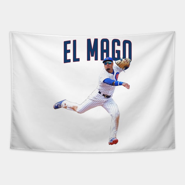 el mago javier baez Tapestry by rsclvisual