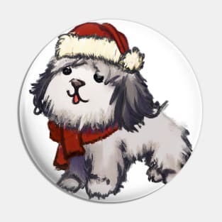 Cute Havanese Drawing Pin