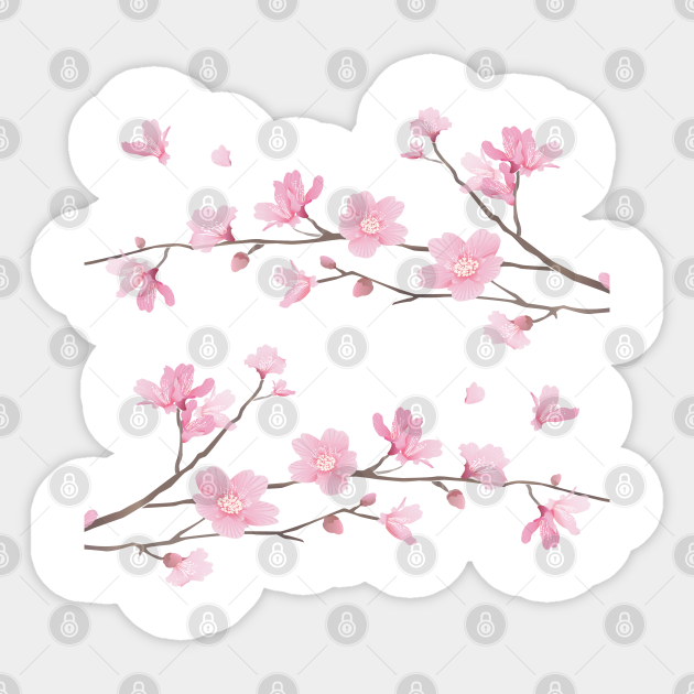 Cherry Blossom Branches Transparent Background Cherry Blossoms Sticker Teepublic