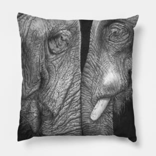 Eye To Eye realistic elephant drawing Pillow