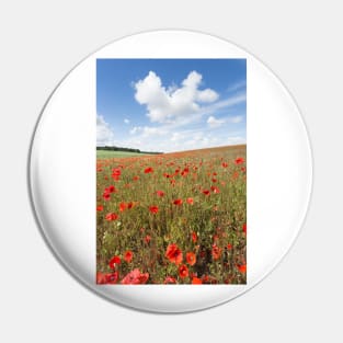 Norfolk Poppy Field Pin