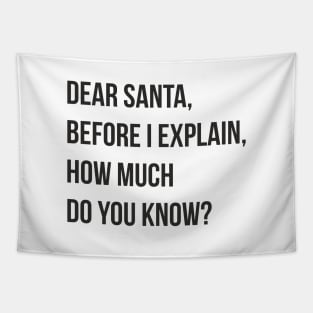 DEAR SANTA BEFORE I EXPLAIN HOW MUCH DO YOU KNOW Tapestry