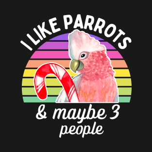 parrot lover, parrot owner, sunset, rainbow, lovebirds T-Shirt