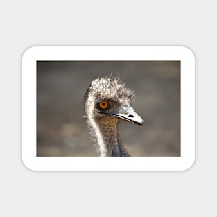 Emu Smile Magnet