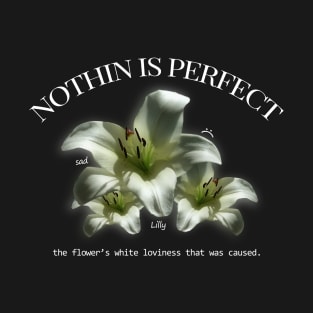 Nothing is perfect T-Shirt