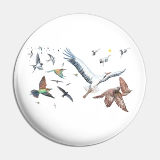 The Flight of Birds – Bird migration Illustration Pin