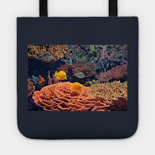 USA. Seattle. Aquarium. Coral Reef. Tote