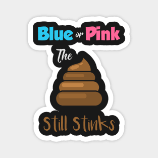 BABIES: Blue or Pink Magnet