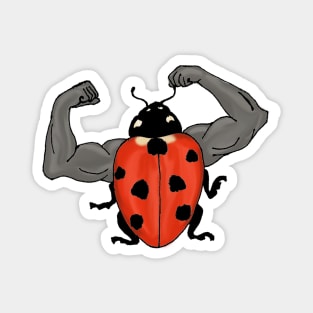 Bodybuilder Ladybug Magnet