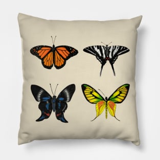 Four Butterfly Species Illustration Pillow