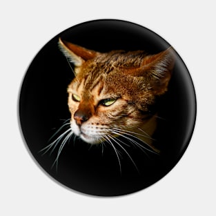 Bengal Cat / Swiss Artwork Photography Pin