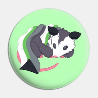 Demiromantic Pride Possum Pin