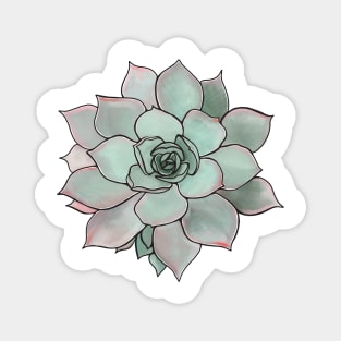 Succulent Plant Magnet