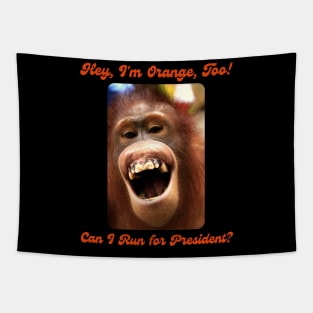 I'm Orange, Too! Can I Run for President? Tapestry