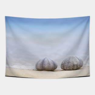 Sea Urchin Shell Tapestry