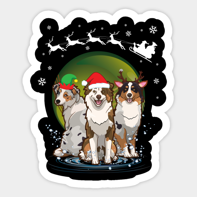 australian shepherd dancing