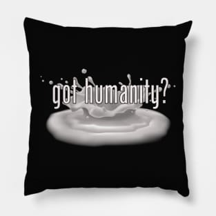 Got Humanity? Pillow