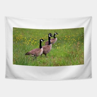 Geese In The Dandelions Tapestry