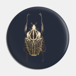 scarab Pin