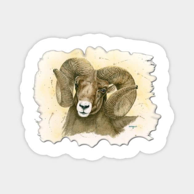 Bighorn Magnet by Dave Bartholet Wildlife Art