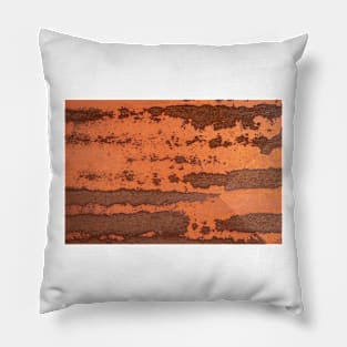 Metal rusty texture background rust steel. Industrial metal texture. Grunge rusted metal texture, rust background Pillow