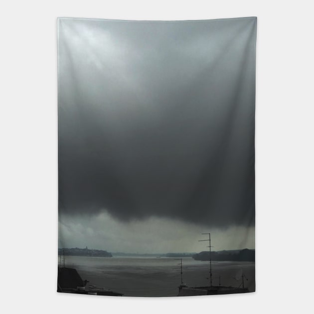 Stormy sky over Danube river with a panoramic view from the penthouse Tapestry by Khala