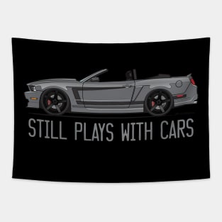 Still Pays With Cars-Sterling Gray Tapestry