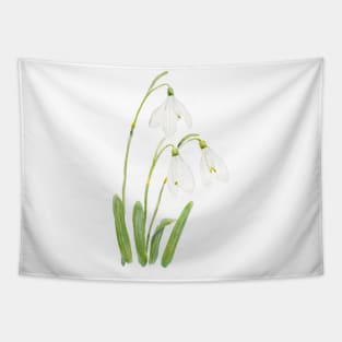 3 snowdrops flowers watercolor Tapestry