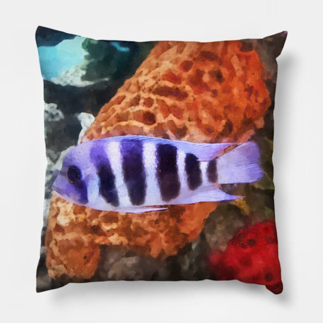 Fish - Striped Tropical Fish Frontosa Pillow by SusanSavad