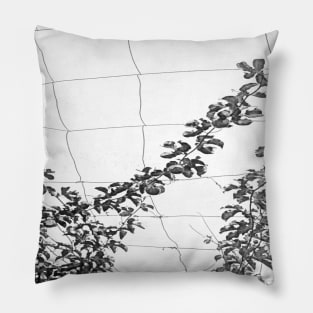 Black and white watercolor Passionflower Vine Climbing on Wire 2 Pillow