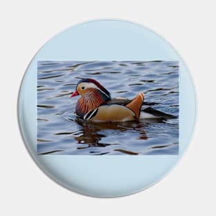 Mandarin duck on the River Wansbeck Pin